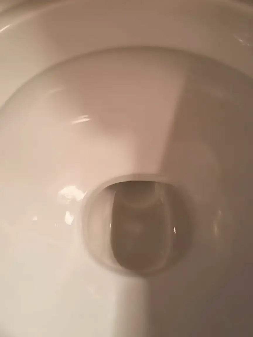 easy toilet cleaning hacks